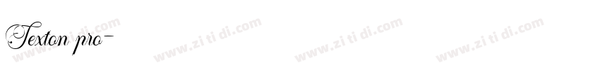 Texton pro字体转换
